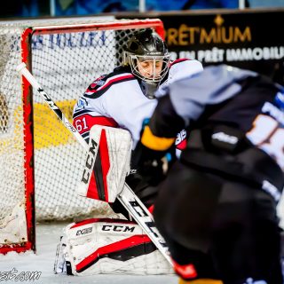 ALBATROS DE BREST VS LES BISONS DE NEUILLY SUR MARNE 05/01/2019 - © Marion BESCOND