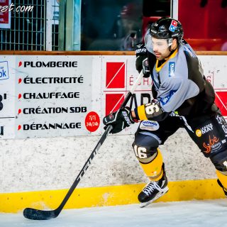 ALBATROS DE BREST VS LES BISONS DE NEUILLY SUR MARNE 05/01/2019 - © Marion BESCOND