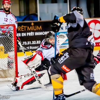 ALBATROS DE BREST VS LES BISONS DE NEUILLY SUR MARNE 05/01/2019 - © Marion BESCOND