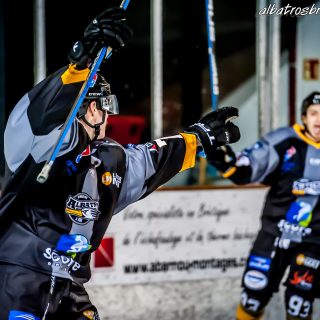 ALBATROS DE BREST VS LES BISONS DE NEUILLY SUR MARNE 05/01/2019 - © Marion BESCOND