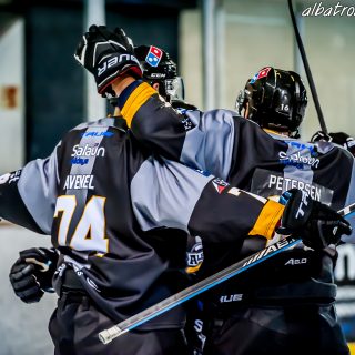 ALBATROS DE BREST VS LES BISONS DE NEUILLY SUR MARNE 05/01/2019 - © Marion BESCOND