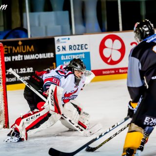 ALBATROS DE BREST VS LES BISONS DE NEUILLY SUR MARNE 05/01/2019 - © Marion BESCOND