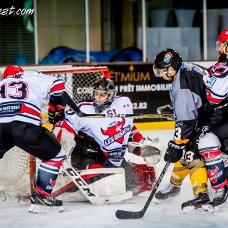 ALBATROS DE BREST VS LES BISONS DE NEUILLY SUR MARNE 05/01/2019 - © Marion BESCOND