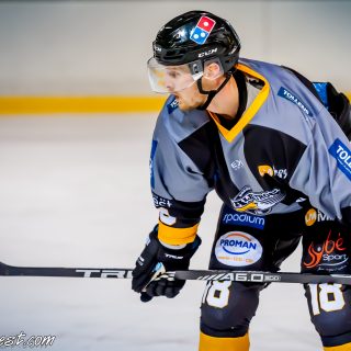 ALBATROS DE BREST VS LES BISONS DE NEUILLY SUR MARNE 05/01/2019 - © Marion BESCOND