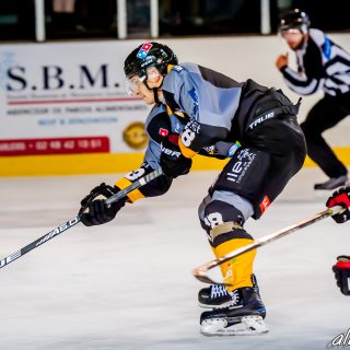 ALBATROS DE BREST VS LES BISONS DE NEUILLY SUR MARNE 05/01/2019 - © Marion BESCOND