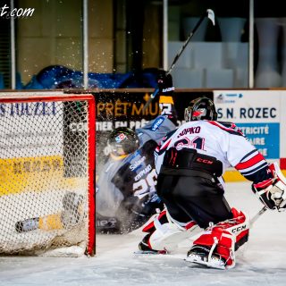 ALBATROS DE BREST VS LES BISONS DE NEUILLY SUR MARNE 05/01/2019 - © Marion BESCOND