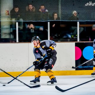 ALBATROS DE BREST VS LES BISONS DE NEUILLY SUR MARNE 05/01/2019 - © Marion BESCOND