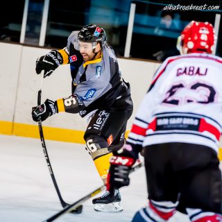 ALBATROS DE BREST VS LES BISONS DE NEUILLY SUR MARNE 05/01/2019 - © Marion BESCOND