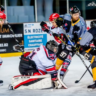 ALBATROS DE BREST VS LES BISONS DE NEUILLY SUR MARNE 05/01/2019 - © Marion BESCOND