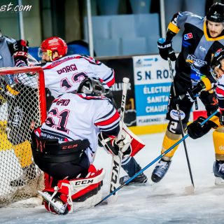 ALBATROS DE BREST VS LES BISONS DE NEUILLY SUR MARNE 05/01/2019 - © Marion BESCOND