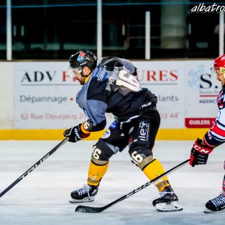 ALBATROS DE BREST VS LES BISONS DE NEUILLY SUR MARNE 05/01/2019 - © Marion BESCOND