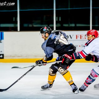 ALBATROS DE BREST VS LES BISONS DE NEUILLY SUR MARNE 05/01/2019 - © Marion BESCOND