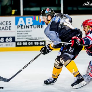 ALBATROS DE BREST VS LES BISONS DE NEUILLY SUR MARNE 05/01/2019 - © Marion BESCOND