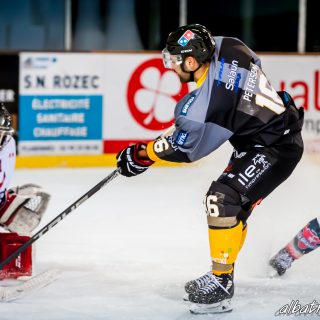 ALBATROS DE BREST VS LES BISONS DE NEUILLY SUR MARNE 05/01/2019 - © Marion BESCOND