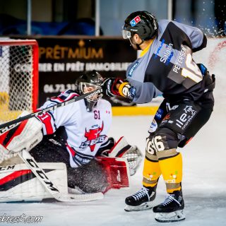 ALBATROS DE BREST VS LES BISONS DE NEUILLY SUR MARNE 05/01/2019 - © Marion BESCOND