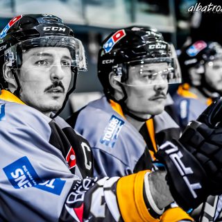 ALBATROS DE BREST VS LES BISONS DE NEUILLY SUR MARNE 05/01/2019 - © Marion BESCOND