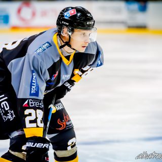 ALBATROS DE BREST VS LES BISONS DE NEUILLY SUR MARNE 05/01/2019 - © Marion BESCOND