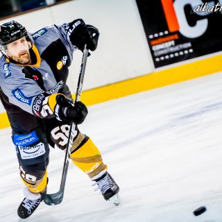 ALBATROS DE BREST VS LES BISONS DE NEUILLY SUR MARNE 05/01/2019 - © Marion BESCOND