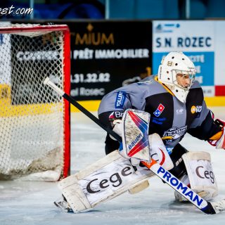 ALBATROS DE BREST VS LES BISONS DE NEUILLY SUR MARNE 05/01/2019 - © Marion BESCOND