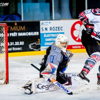 ALBATROS DE BREST VS LES BISONS DE NEUILLY SUR MARNE 05/01/2019 - © Marion BESCOND