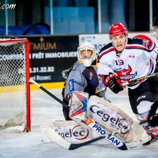 ALBATROS DE BREST VS LES BISONS DE NEUILLY SUR MARNE 05/01/2019 - © Marion BESCOND