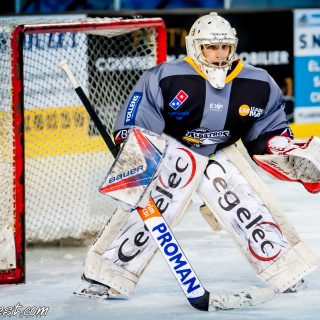 ALBATROS DE BREST VS LES BISONS DE NEUILLY SUR MARNE 05/01/2019 - © Marion BESCOND