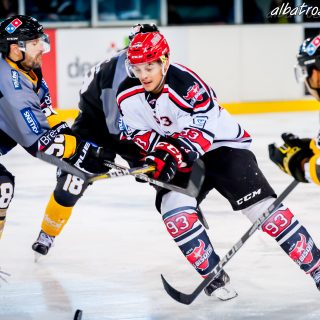 ALBATROS DE BREST VS LES BISONS DE NEUILLY SUR MARNE 05/01/2019 - © Marion BESCOND