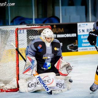 ALBATROS DE BREST VS LES BISONS DE NEUILLY SUR MARNE 05/01/2019 - © Marion BESCOND