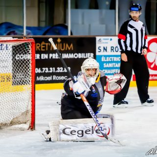 ALBATROS DE BREST VS LES BISONS DE NEUILLY SUR MARNE 05/01/2019 - © Marion BESCOND