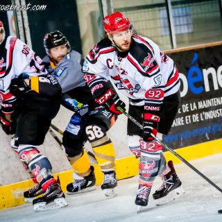 ALBATROS DE BREST VS LES BISONS DE NEUILLY SUR MARNE 05/01/2019 - © Marion BESCOND
