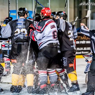 ALBATROS DE BREST VS LES BISONS DE NEUILLY SUR MARNE 05/01/2019 - © Marion BESCOND
