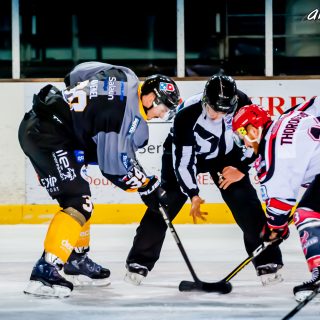 ALBATROS DE BREST VS LES BISONS DE NEUILLY SUR MARNE 05/01/2019 - © Marion BESCOND