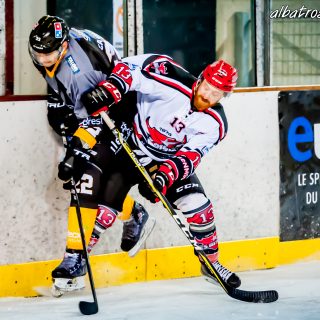 ALBATROS DE BREST VS LES BISONS DE NEUILLY SUR MARNE 05/01/2019 - © Marion BESCOND