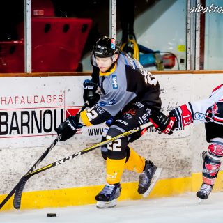 ALBATROS DE BREST VS LES BISONS DE NEUILLY SUR MARNE 05/01/2019 - © Marion BESCOND
