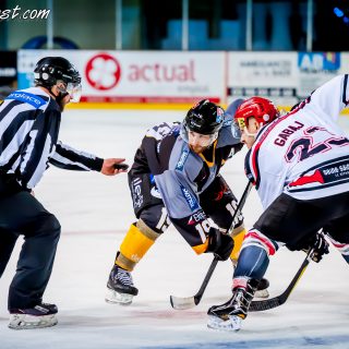 ALBATROS DE BREST VS LES BISONS DE NEUILLY SUR MARNE 05/01/2019 - © Marion BESCOND