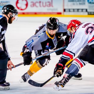 ALBATROS DE BREST VS LES BISONS DE NEUILLY SUR MARNE 05/01/2019 - © Marion BESCOND