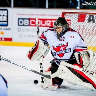 ALBATROS DE BREST VS LES BISONS DE NEUILLY SUR MARNE 05/01/2019 - © Marion BESCOND