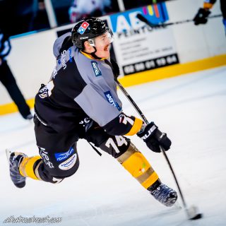 ALBATROS DE BREST VS LES BISONS DE NEUILLY SUR MARNE 05/01/2019 - © Marion BESCOND