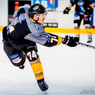 ALBATROS DE BREST VS LES BISONS DE NEUILLY SUR MARNE 05/01/2019 - © Marion BESCOND