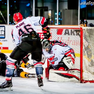 ALBATROS DE BREST VS LES BISONS DE NEUILLY SUR MARNE 05/01/2019 - © Marion BESCOND
