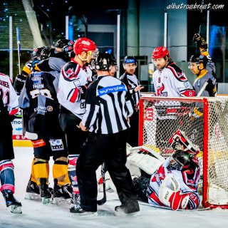 ALBATROS DE BREST VS LES BISONS DE NEUILLY SUR MARNE 05/01/2019 - © Marion BESCOND