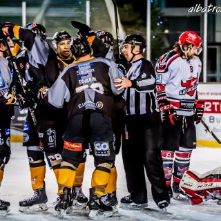 ALBATROS DE BREST VS LES BISONS DE NEUILLY SUR MARNE 05/01/2019 - © Marion BESCOND