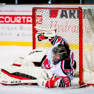 ALBATROS DE BREST VS LES BISONS DE NEUILLY SUR MARNE 05/01/2019 - © Marion BESCOND