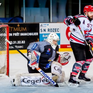 ALBATROS DE BREST VS LES BISONS DE NEUILLY SUR MARNE 05/01/2019 - © Marion BESCOND