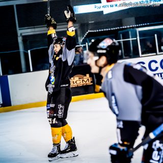 ALBATROS DE BREST VS LES BISONS DE NEUILLY SUR MARNE 05/01/2019 - © Marion BESCOND