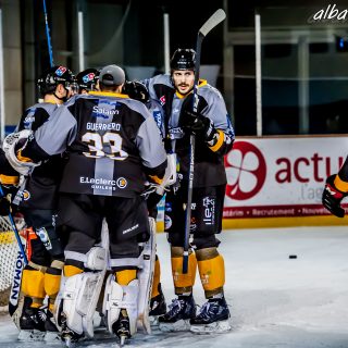 ALBATROS DE BREST VS LES BISONS DE NEUILLY SUR MARNE 05/01/2019 - © Marion BESCOND