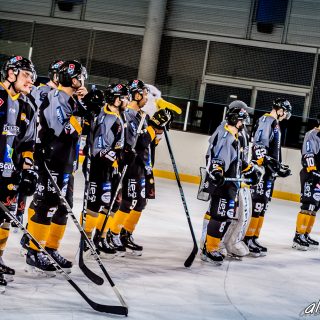 ALBATROS DE BREST VS LES BISONS DE NEUILLY SUR MARNE 05/01/2019 - © Marion BESCOND