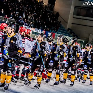 ALBATROS DE BREST VS LES BISONS DE NEUILLY SUR MARNE 05/01/2019 - © Marion BESCOND