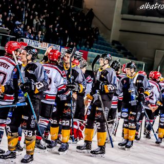 ALBATROS DE BREST VS LES BISONS DE NEUILLY SUR MARNE 05/01/2019 - © Marion BESCOND
