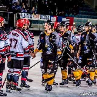 ALBATROS DE BREST VS LES BISONS DE NEUILLY SUR MARNE 05/01/2019 - © Marion BESCOND